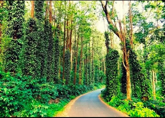 Sp Cottage&Home Stay
